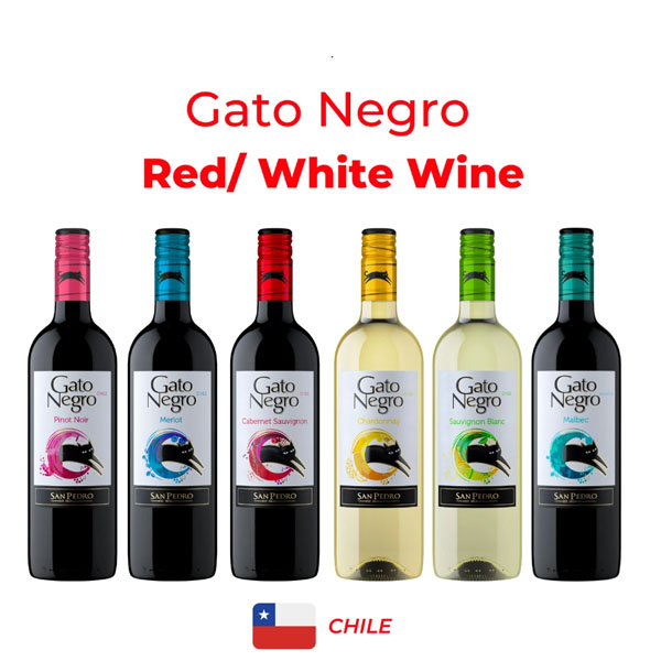 Gato Negro