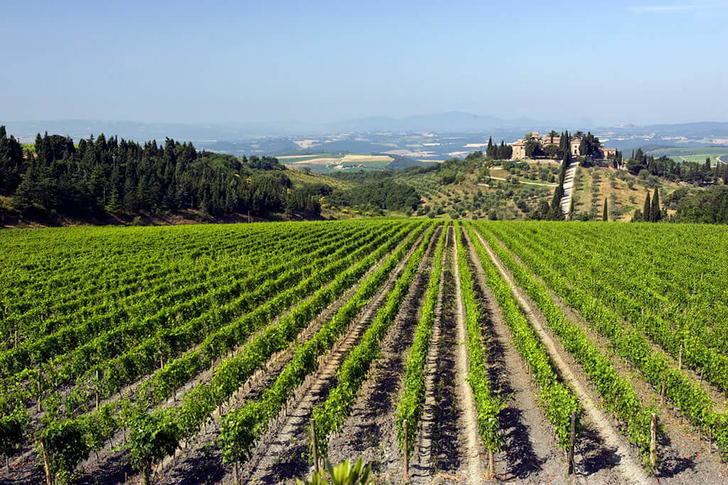Frescobaldi - Authentic wines of Tuscany | Frescobaldi Wine